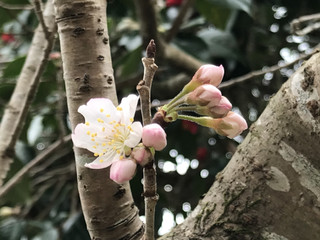 B91222e69cce44b982ca59ecf8c6d352