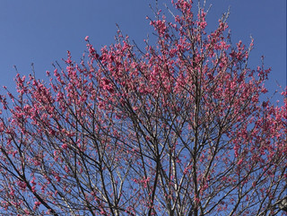 C4a88a59205f4b21baaefdfcfd715baa