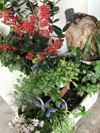 E40280982c3e4b6b84389c28f47ea36b