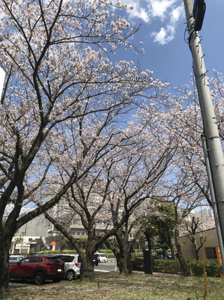 28774f7dbbfa4287852ed517490e6466