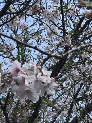 4efe5e7406d84f1395f37d9982bf9087