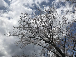 60d60d0d2b52407493b736696bc11231