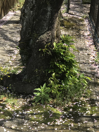 73a78f34636145af8368f4c9d18d12d6