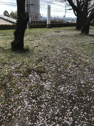 Af175aba59af496aaa4f2b6b90e30650