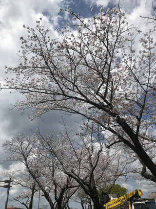 B2014f852cfb4cb49a045aef9f940763