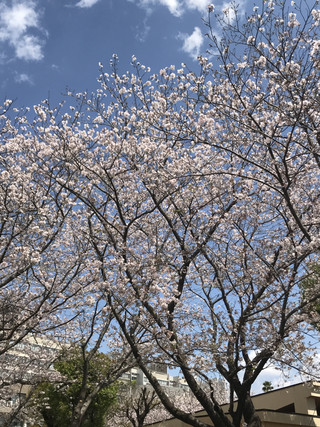 Bc83749dc7354633ac3b08d6c52627b2