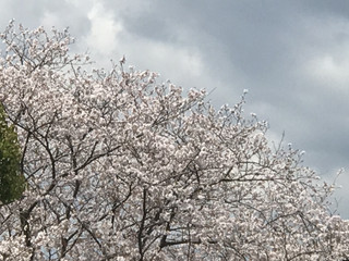 Db89d1348b7e4c5db2bfca28fae7342f