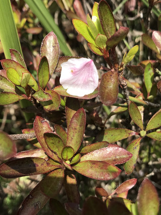 Ef9dfb86dadf4b9cbf9517eb93f19d1e