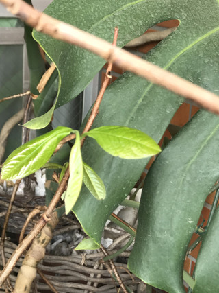 667f490420ba4569915bb1887d0b426c