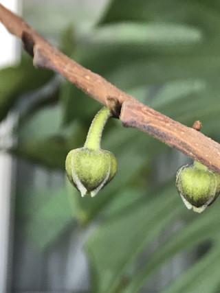 85fea305d3b34b92b7acc3698717cf7d