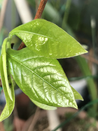 Ecbfdc92b8034db796799f8513c205ba