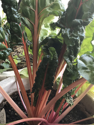 27693b542ceb494888f48d6ad888b488