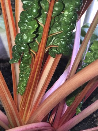 40173d35d9cc4ed68826fe44ad6a3185