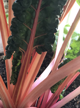 540c05c16ca648e8841a7cb9dc72931e