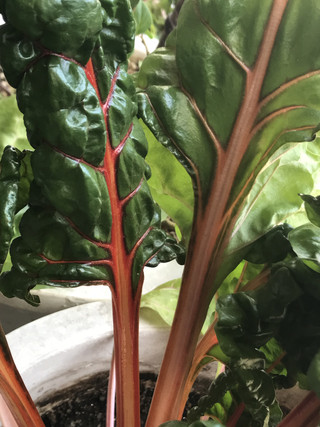 D3ac761c9e2a41e3be52adf0f7d3905a