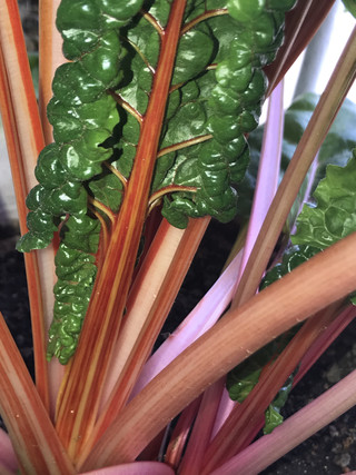 E5b2ffa5e6a9441cb7745f7428898be3