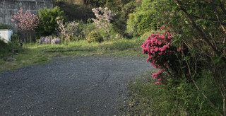 02baed1678e149e2a1c66efde0acb13d