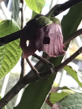 1e6ff6d8341742bcae341932ab023a0b