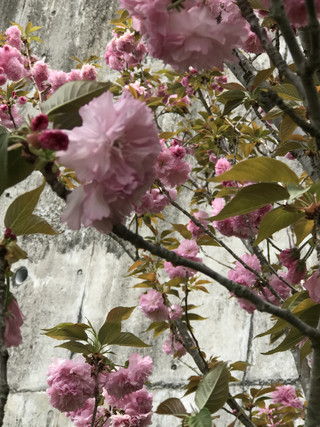 41ade955e3fc4c57a9df630e5f47c3c1