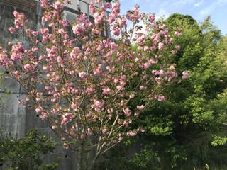 518588f1bab849149848ceac18d9cf9f