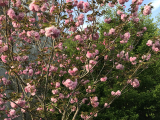 6a153b0a7eb941299ab1593599d95d1c