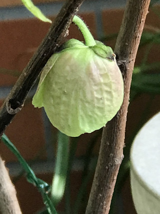 9523405b44e64704aa78f94aeb9d59ea