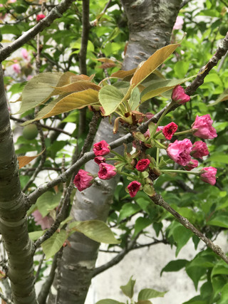 9d0b0650848e4334aeee6814a92e7616