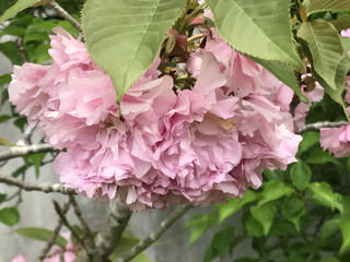 Aafefd1cc8cd4852b556e74a650d3e8b