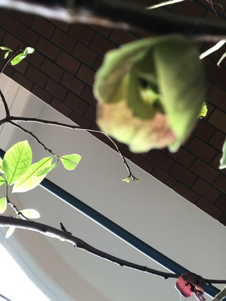 A60e56efed2249b9a98559be890ffe4b