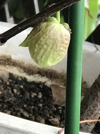 D9515b926ad5492aaeed6545f7c0c073