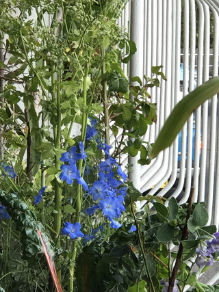 55c3b5a8fc9643c89ee6738c1d6018ef