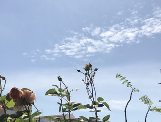 7baf87202e284a089c18c3fa406669fe