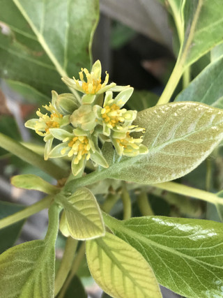 86c720a035334e1cb3cefd820a8d3b09