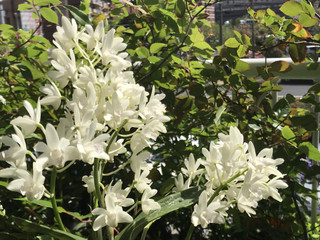 A07850aec4e443e5b8c573ce429860ff