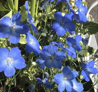 C02c0d05cd29448ab285a7a8c3f04e66