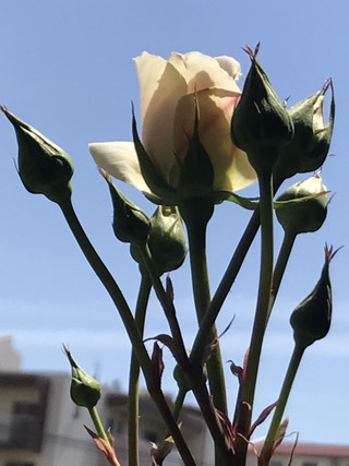 D8d167887d2e4cfea7ebfb60e87409b4