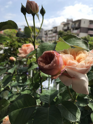 E47685222f4d427b8dbd7f5314fce3e0