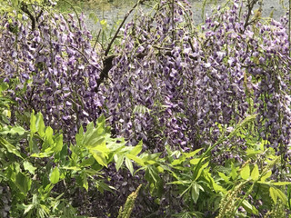 4ac8f6f451c641d7a3a9f284d7f470fe