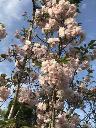 5a6e916021004226a065af7d4ac930b7