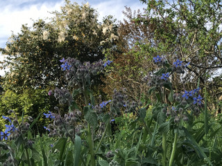 778cd90b7ecf4ba7b607a46eb184808d