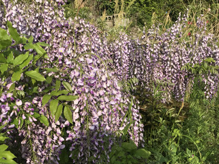 A45d8b245c5b4234becb54268eba80e6