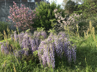 Aa571c7c89fa4ec89b9f87e74dc3eb7a