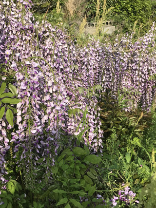 Bc130b9ce88f47d19e8ba76fd189e90f