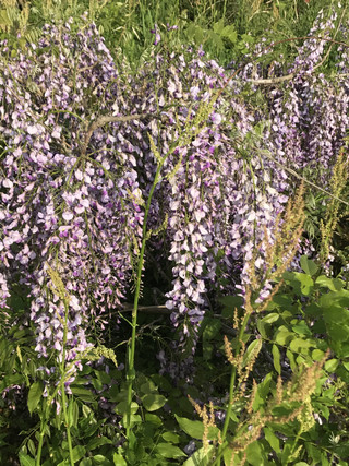 C504defe1533456b93b5ec9f3c7a06ae