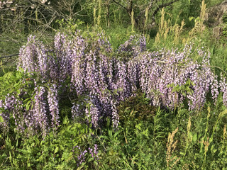 C782b3eb4668481fad31acd781e2c420