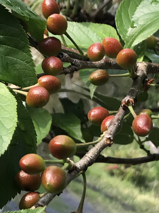 Da608252a3ca4c1487b2c71d136a2455