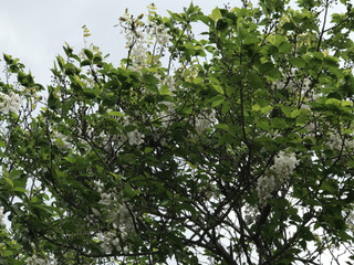 F99d9ae6c398494bb96cac49465864ec