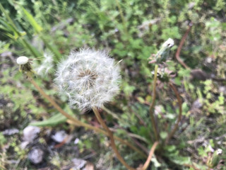 0787e435b4fe413e9866eed464a6b7e6