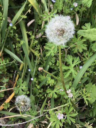 398e6577bd3b487e820b72df06acfd85