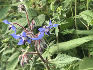 649bfb4888a945c6abba03bfd0037c80